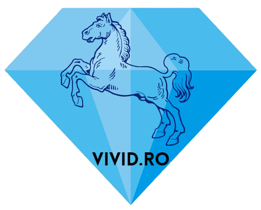 vivid.ro logo